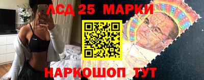 мяу мяу мука Ачхой-Мартан