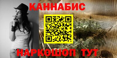 мяу мяу мука Ачхой-Мартан