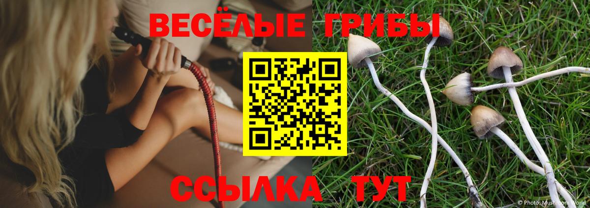 Псилоцибиновые грибы GOLDEN TEACHER  Вход с VPN  Владикавказ 